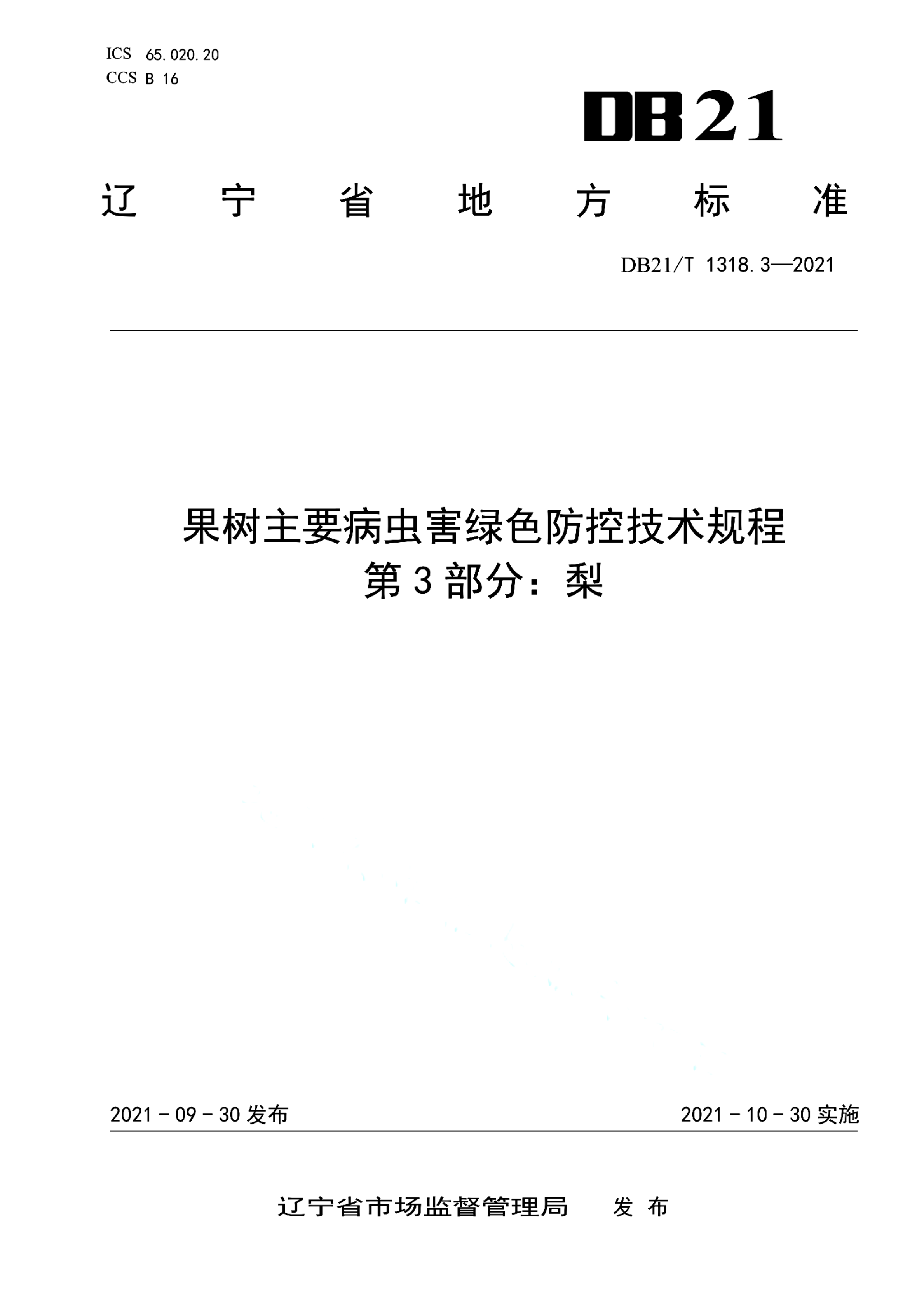 资源详情图